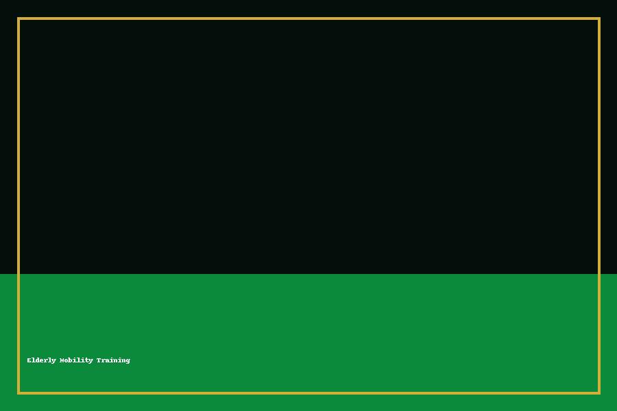 Elderly Mobility Training